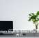 Houseplants Might Be Behind Your Sluggish Wi-Fi