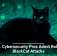 U.S. Cybersecurity Pros Admit Role in BlackCat Attacks